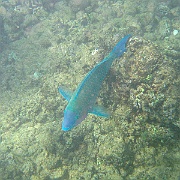 Picture 073